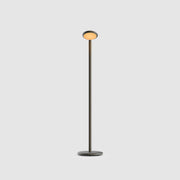 Grau Parrot floor portable lampadaire, LED, rechargeable en black brass
