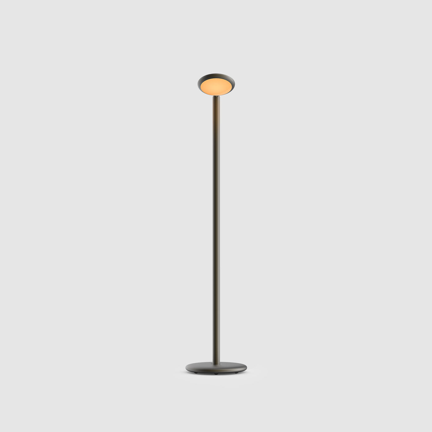Grau Parrot floor portable lampadaire, LED, rechargeable en black brass