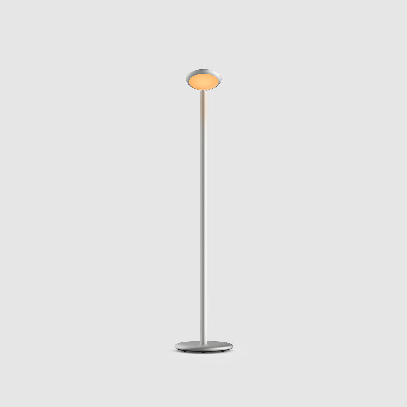 Grau Parrot floor portable lampadaire, LED, rechargeable en argent