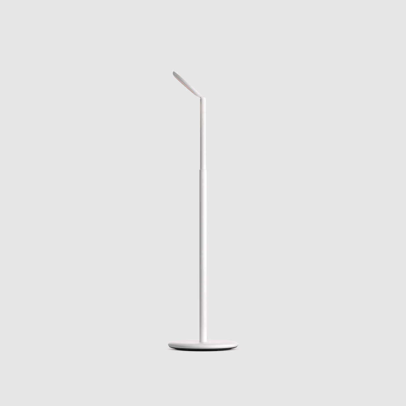 Grau Parrot lampadaire sans fil, rechargeable en blanc du cote