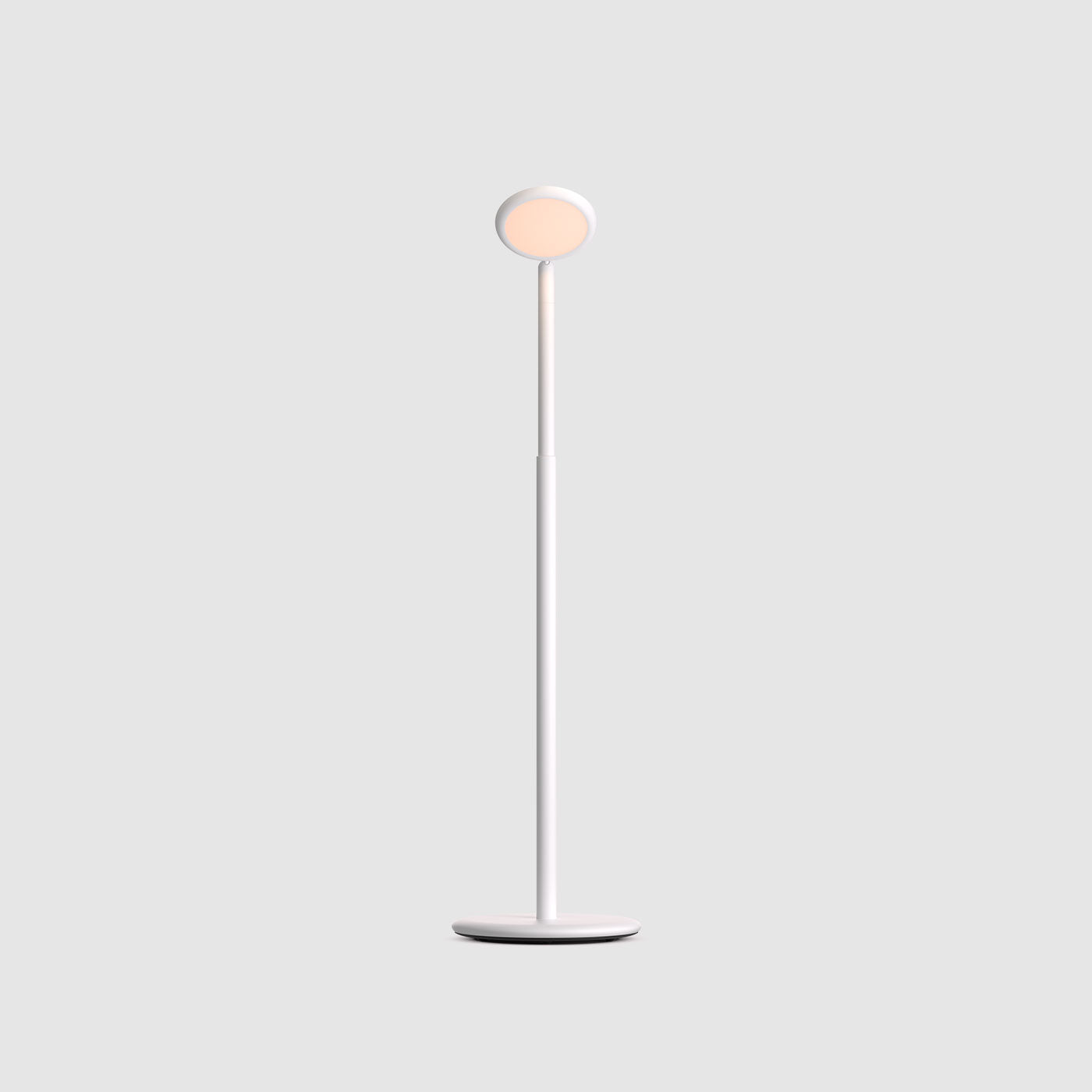 Grau Parrot lampadaire sans fil, rechargeable en blanc