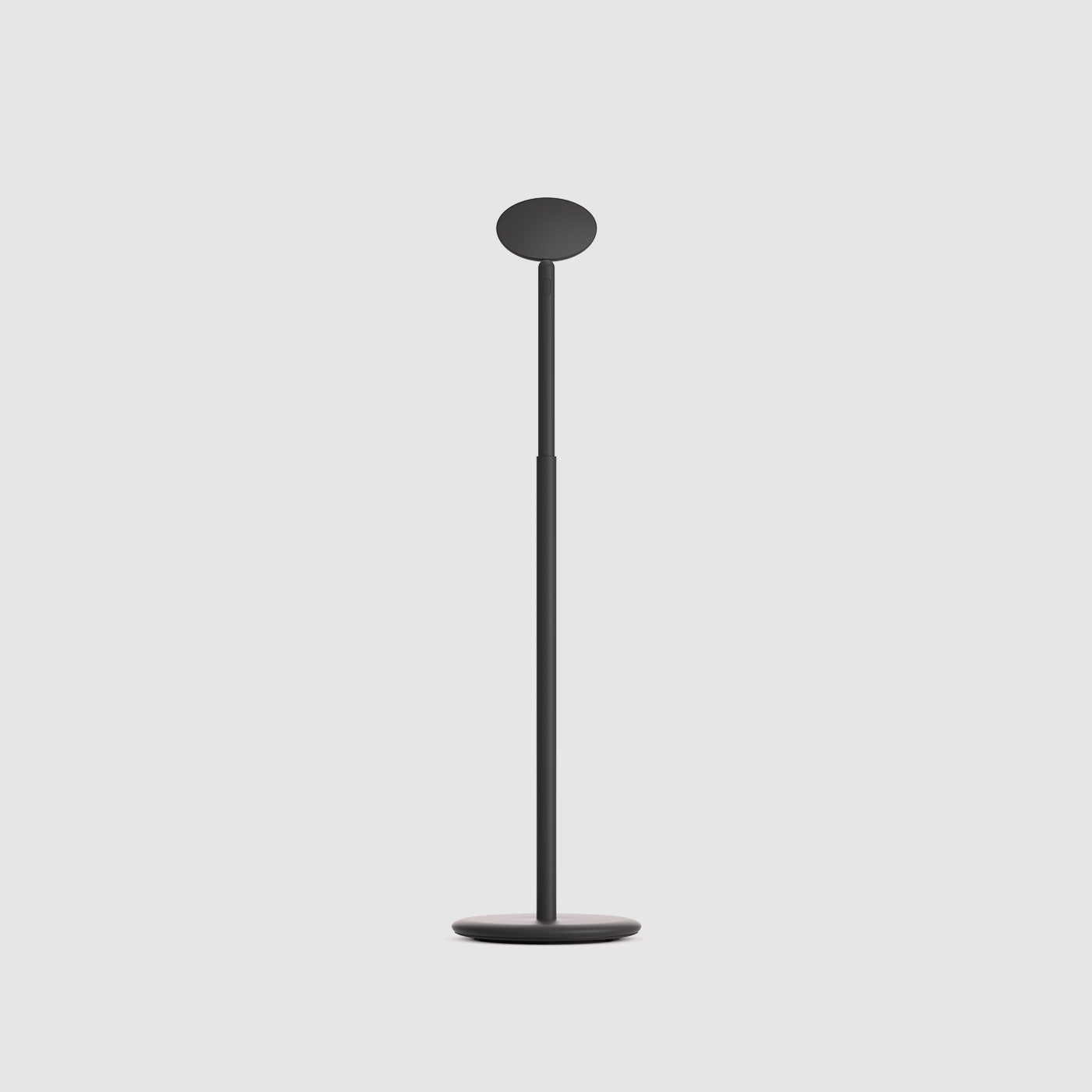 Grau Parrot lampadaire sans fil, rechargeable en noir