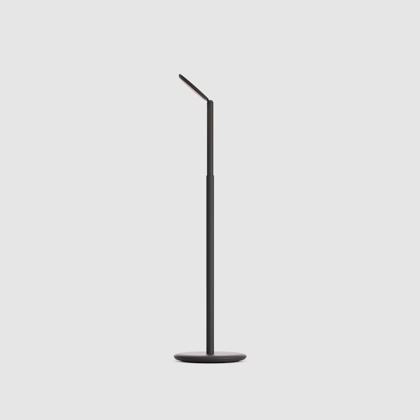 Grau Parrot lampadaire sans fil, rechargeable en noir du cote