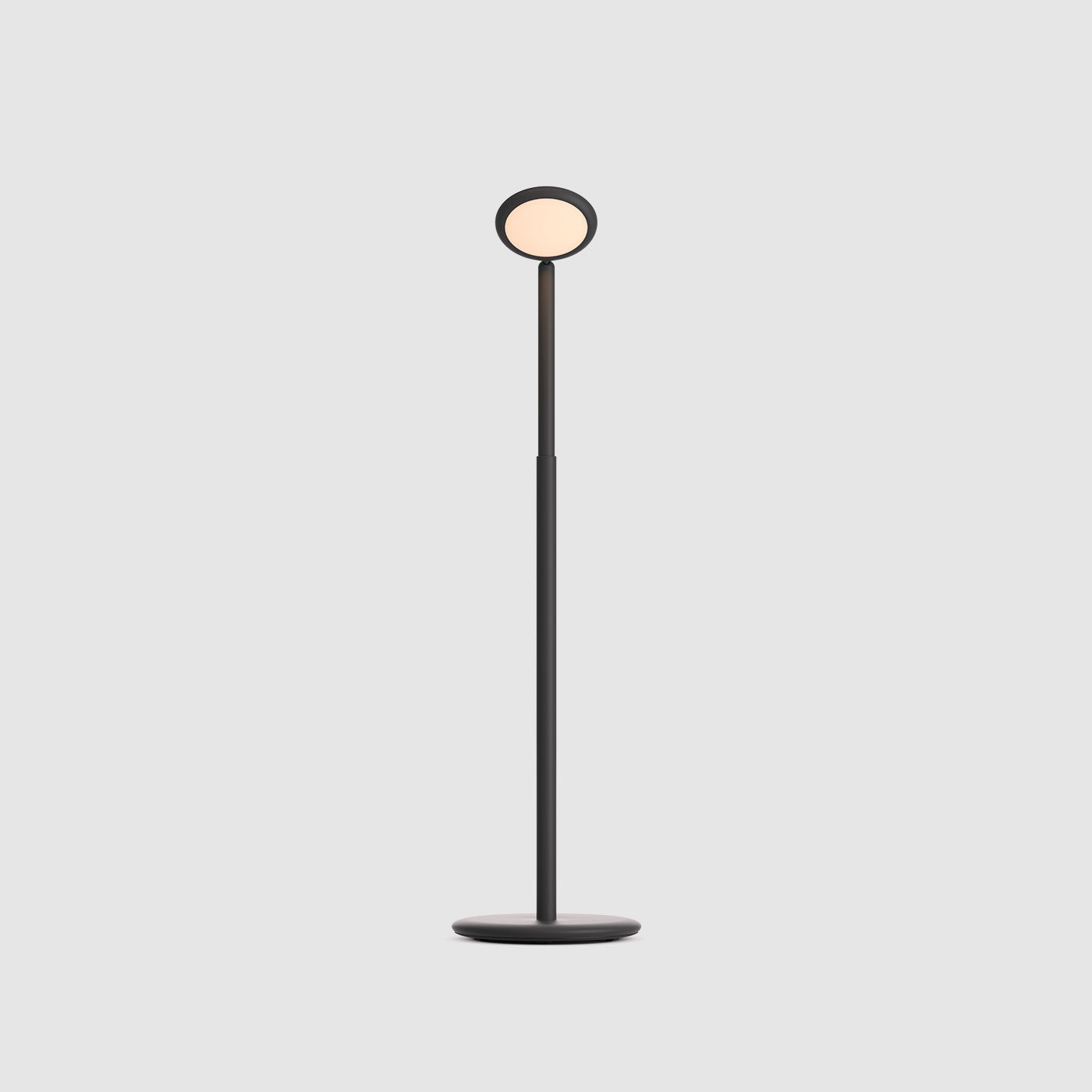 Grau Parrot lampadaire sans fil, rechargeable en noir