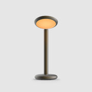 Grau Parrot table lampe portable, LED, rechargeable en black brass