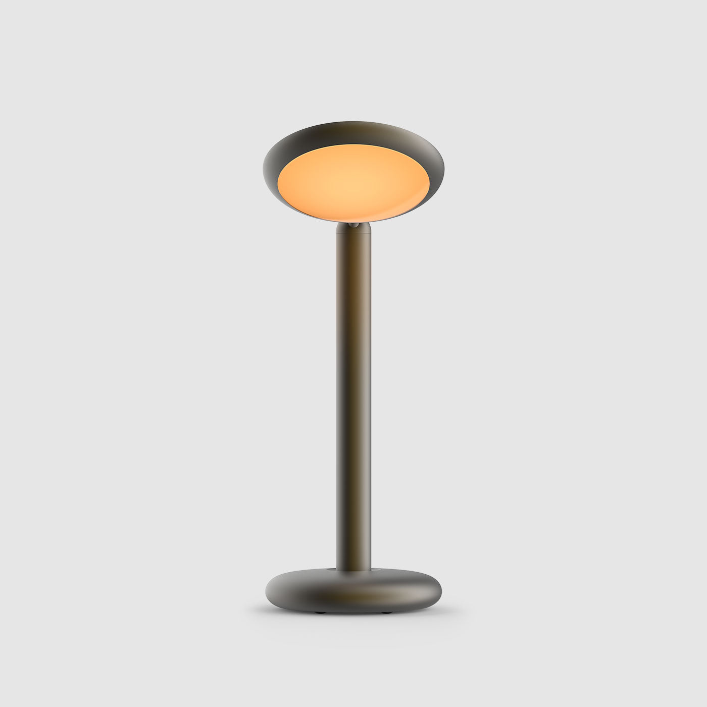Grau Parrot table lampe portable, LED, rechargeable en black brass