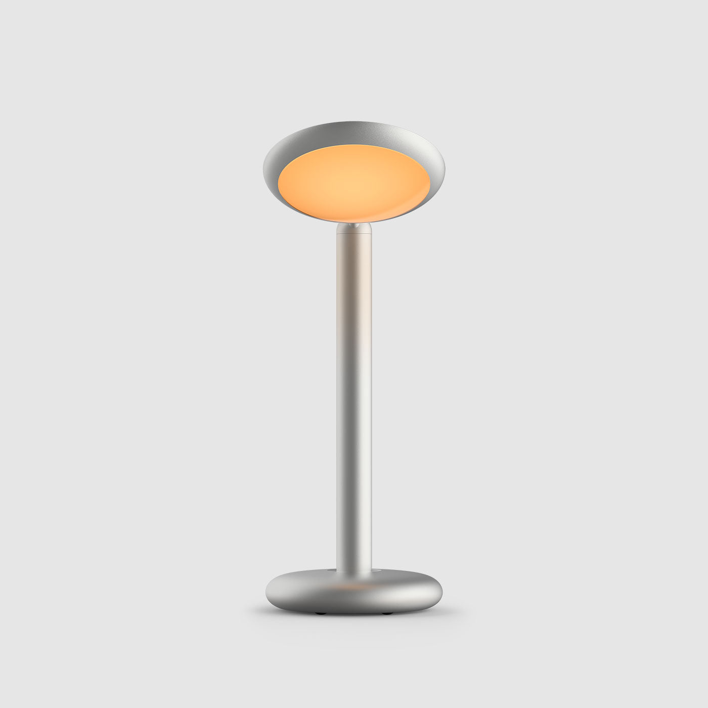Grau Parrot table lampe portable, LED, rechargeable en argent